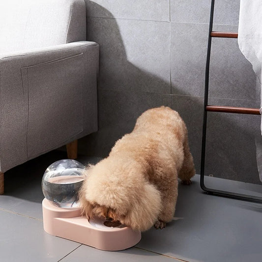 EasyFeed Adjustable Pet Food & Water Station – Elevated, Space-Saving Feeding Solution