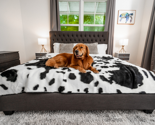 PupProtector™ Waterproof Throw Blanket - Black Faux Cowhide