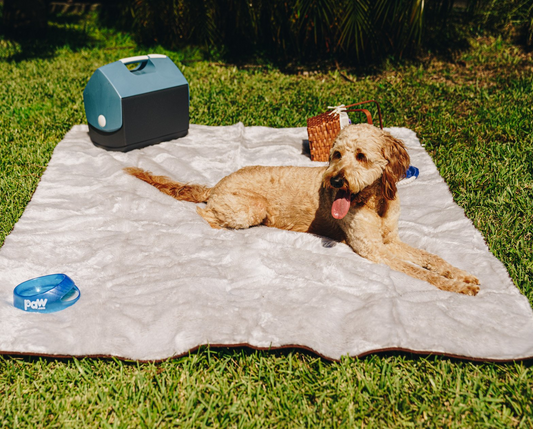 "PupProtector™ Cool Comfort Waterproof Throw Blanket - Grey "