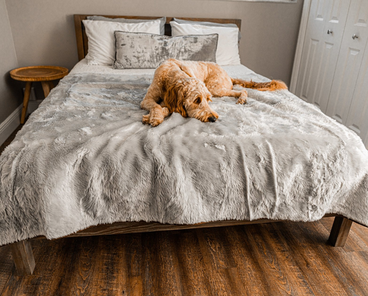 PupProtector™ Cool Comfort Waterproof Throw Blanket - Grey