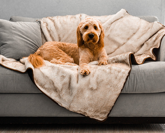 PupProtector™ Cool Comfort Waterproof Throw Blanket - White with Brown Accents