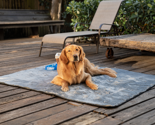 PupProtector™ Cool Comfort Waterproof Throw Blanket - Charcoal Grey