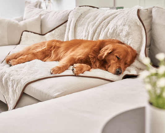PupProtector™ Cool Comfort Waterproof Throw Blanket - Polar White
