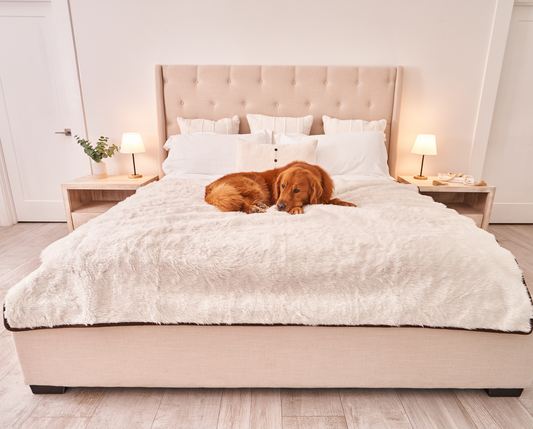 PupProtector™ Cool Comfort Waterproof Throw Blanket - Polar White