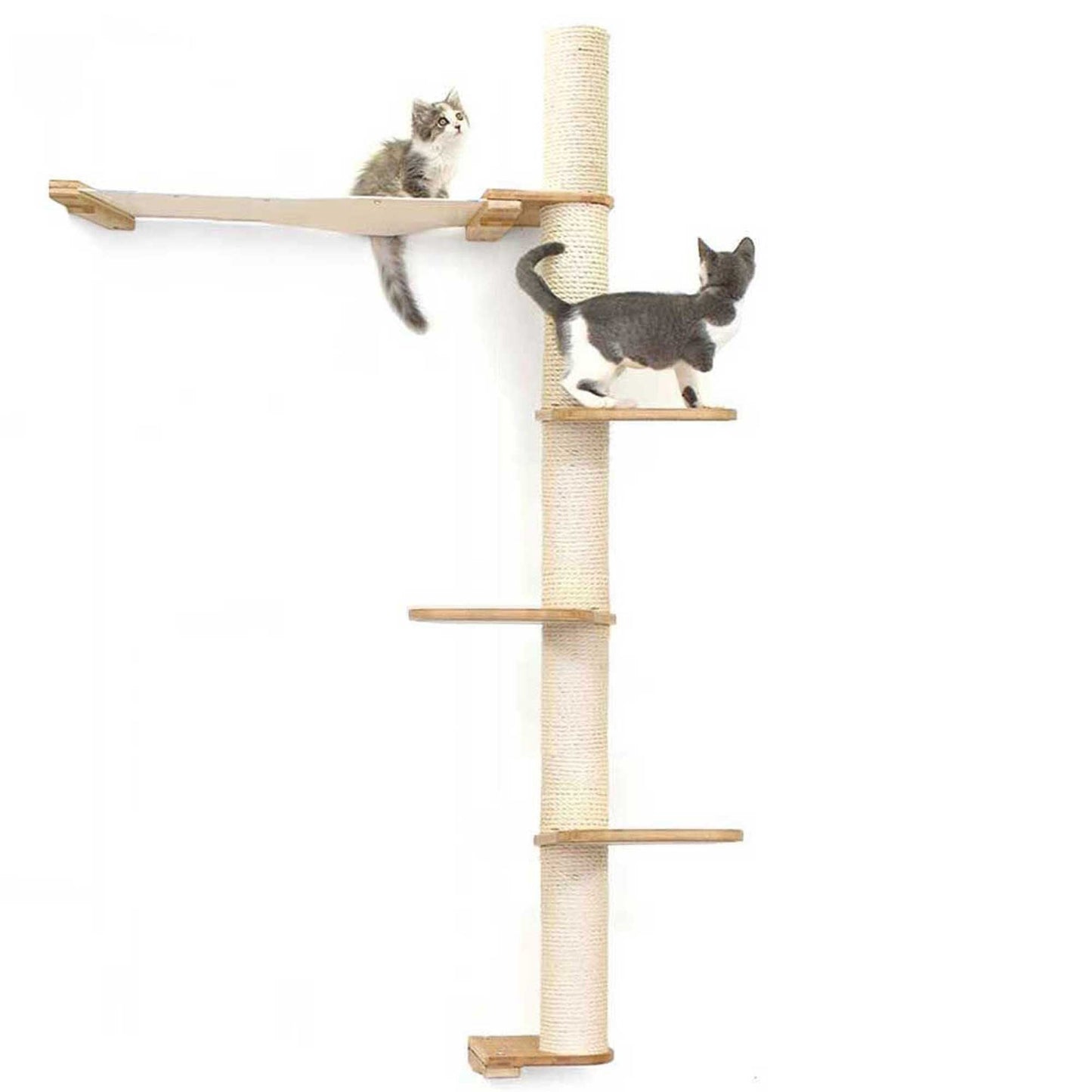 The Crow's Nest - A Wall Cat Scratcher with Hammock