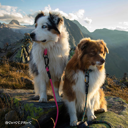 Customizable Norte Rope Dog Leash | Auto-Locking | Tuenne