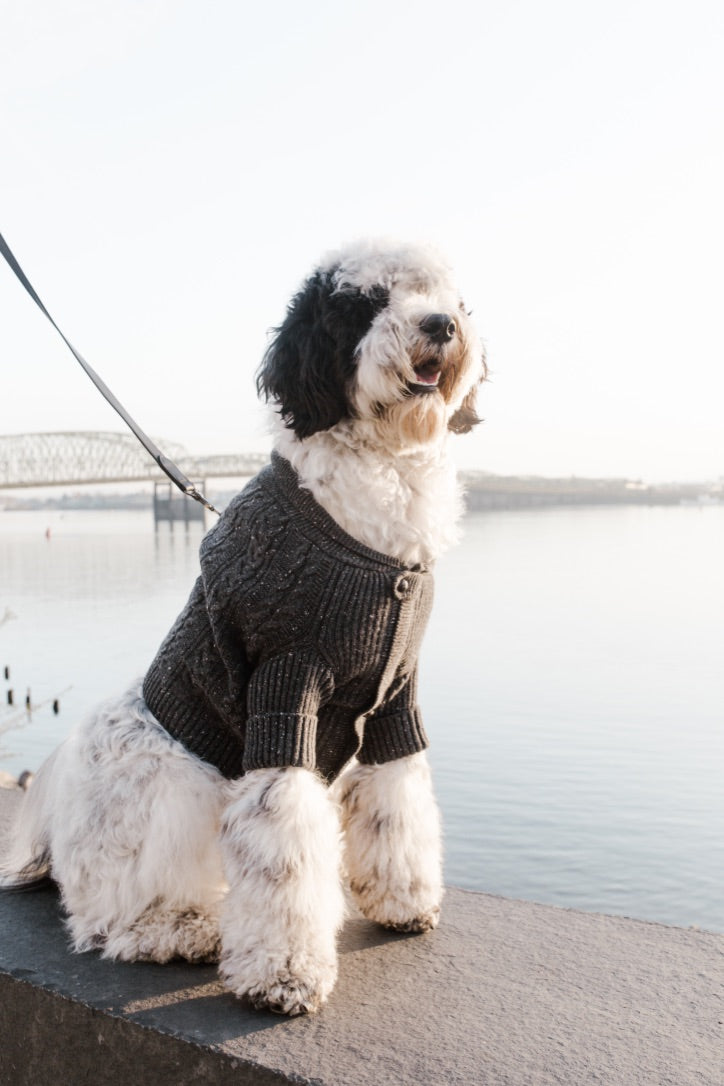 Brooklyn Cashmere Dog Cardigan – Charcoal Luxury 100% Cashmere Sweater (XS–XL)