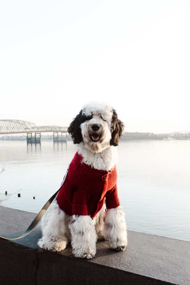 Brooklyn Cashmere Dog Cardigan – Garnet Luxury 100% Cashmere Sweater (XS–XL)