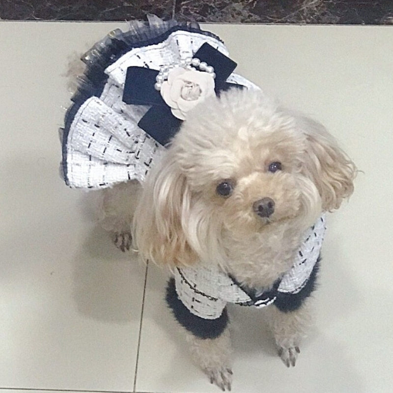 Designer Chanel-Inspired Tweed Dog Dress Coat – Handmade Luxury Dog Coat with Fur Trim, Lace & Tulle Skirt (S–2XL, Custom Sizes Available)