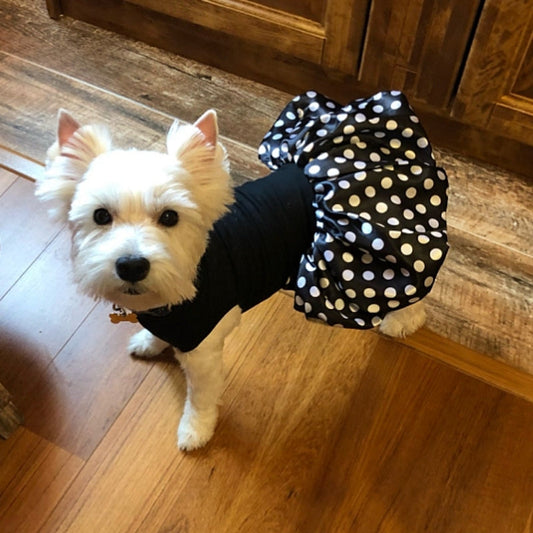Polka Dot Tutu Dog Dress – Adorable Cotton & Tulle Party Dress for Small Dogs (XS–XL, Gray/White or Black/White)