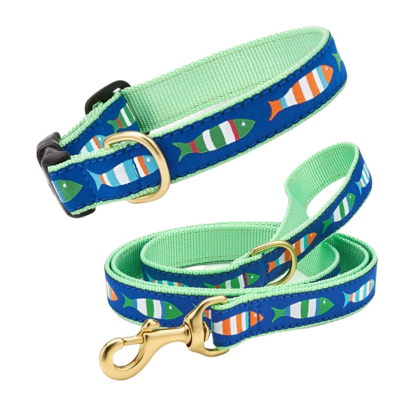 Up Country Funky Fish Dog Collar & Leash Matching Set – Made in USA, Vibrant Fish Pattern on Durable Nylon Webbing, Brass Hardware & Coast Guard Buckles, Machine Washable 5-ft Leash and Adjustable Collar (Small–Large Dogs)