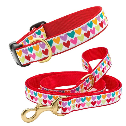 Up Country Pop Hearts Dog Collar & Leash Matching Set – Made in USA Fashion Ribbon Collar & 5-ft Leash, Durable Nylon Webbing with Cast Brass Hardware, Coast Guard-Approved Buckles, Machine Washable (Small–Large Dogs)