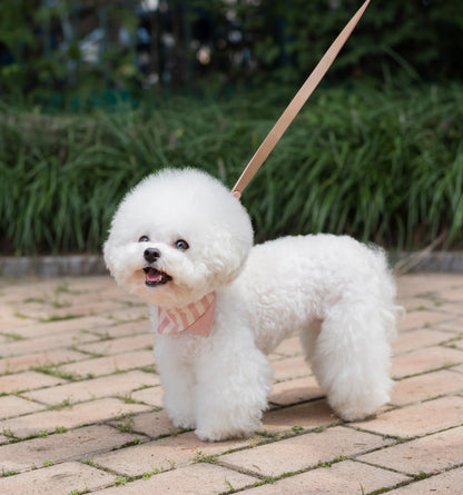 Nooee Pet Collar Daisy – Vegan Leather Dog Collar with Nickel-Plated Hardware, Heavy-Duty D-Ring & Removable Cotton Bandana, Adjustable Sizes S–M