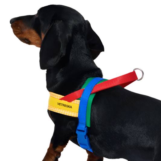 Yellow Chroma Dog Harness & Leash Set – Adjustable Vetreska Designer Set for Small Dogs (XS–M)