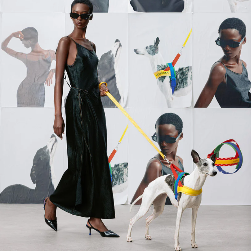 Yellow Chroma Dog Harness & Leash Set – Adjustable Vetreska Designer Set for Small Dogs (XS–M)