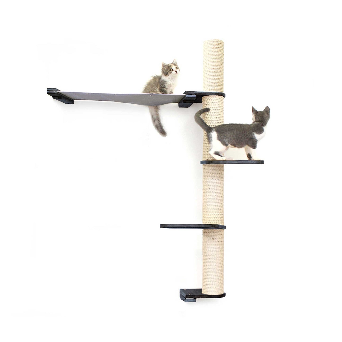 The Crow's Nest - A Wall Cat Scratcher with Hammock