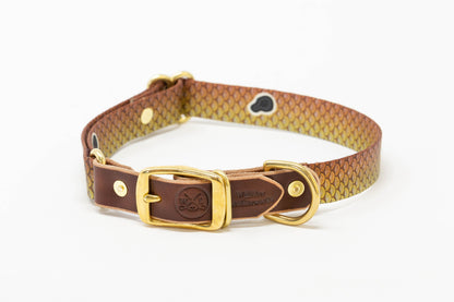 Saltwater Dog Collar – Handmade Waterproof Brass Buckle Beach Collar