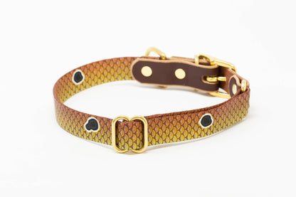 Saltwater Dog Collar – Handmade Waterproof Brass Buckle Beach Collar
