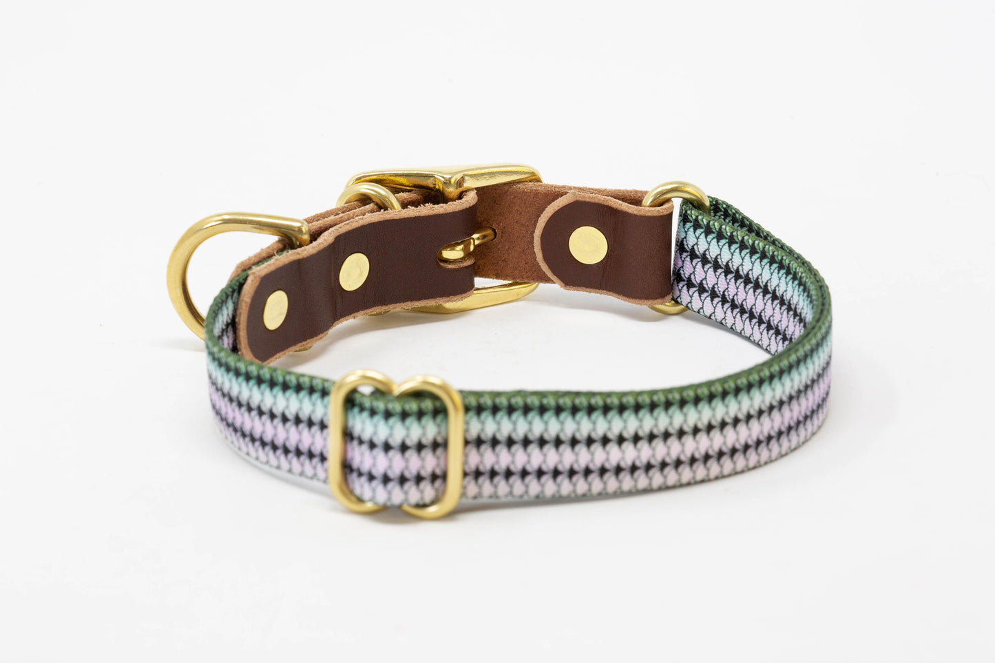 Saltwater Dog Collar – Handmade Waterproof Brass Buckle Beach Collar