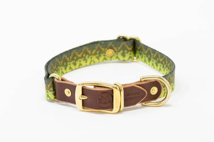 Freshwater Dog Collar – Trout Series Leather & Brass (Handmade USA)