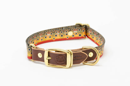Freshwater Dog Collar – Trout Series Leather & Brass (Handmade USA)