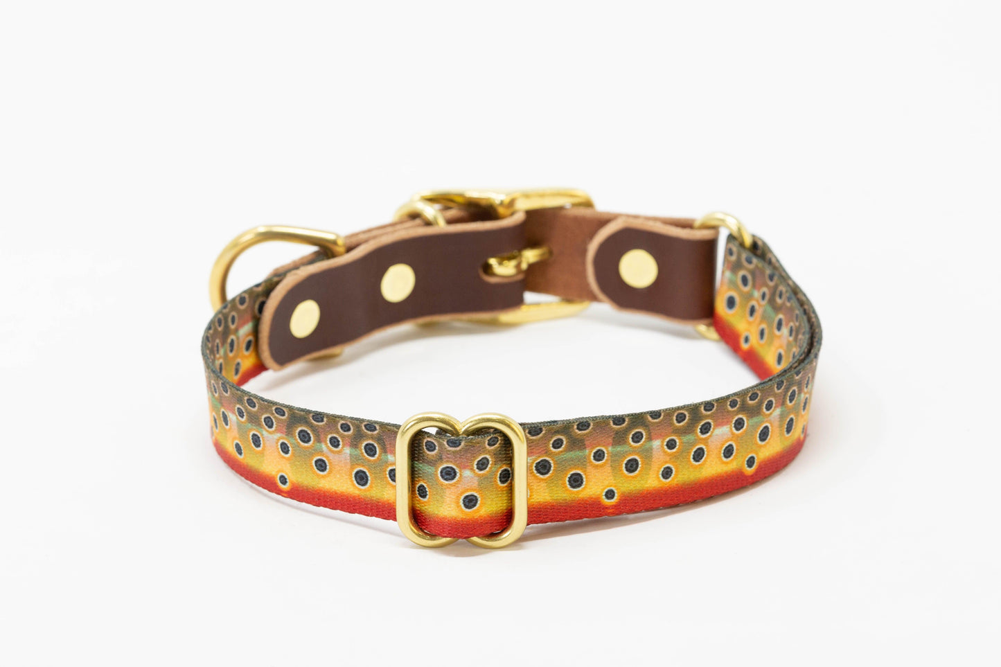 Freshwater Dog Collar – Trout Series Leather & Brass (Handmade USA)