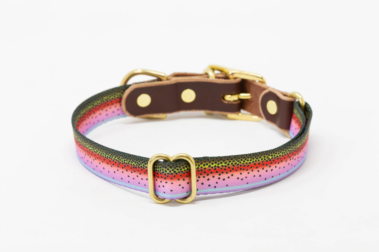 Freshwater Dog Collar – Trout Series Leather & Brass (Handmade USA)