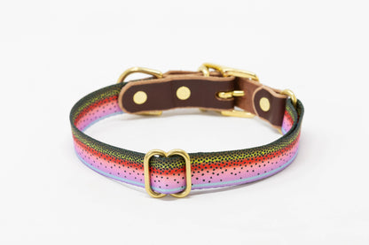 Freshwater Dog Collar – Trout Series Leather & Brass (Handmade USA)