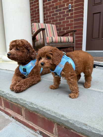 Summer AIR Dog Harness “Ocean” – Ultra-Breathable Cooling Mesh, No-Pull Front D-Ring, Step-In Design & Escape-Resistant Fit