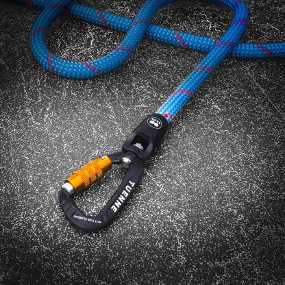 Rope Dog Leash with Auto-Locking Carabiner – 9.8mm Mammut Dry-Treated | Ice Storm Blue | Tuenne