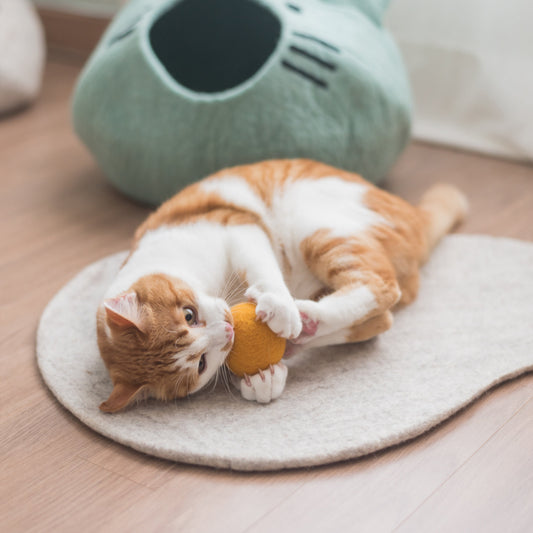 Nooee Pet Wool Toy Ball (4CM) – Set of 3 Handmade 100% Natural Wool Balls for Cats & Small Dogs, Eco-Friendly, Chemical-Free, 4cm Diameter