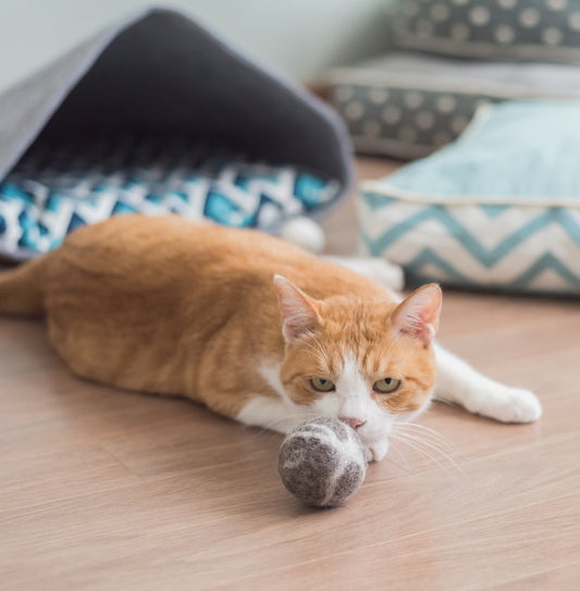 Nooee Pet Wool Toy Ball Set (5CM) – Set of 2 Handmade 100% Natural Wool Balls with Inner Rattle for Cats & Small Dogs, Eco-Friendly, Chemical-Free, 5cm Diameter