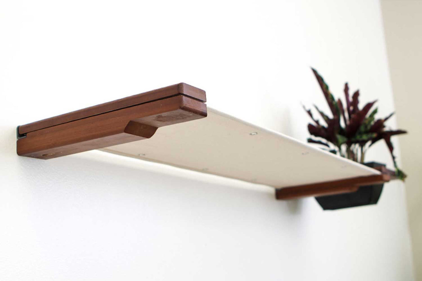 Cat Hammock Wall with Planter