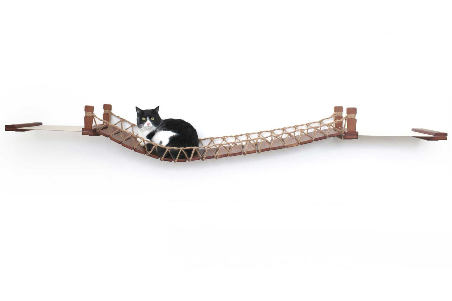Double Cat Hammock and Climbing Bridge Combo
