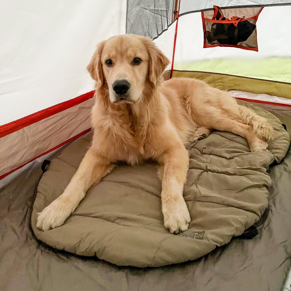 Bed ’n a Bag Travel Dog Bed | Portable Water-Resistant Camping Mat with Carry Bag & Stake-Out Loops