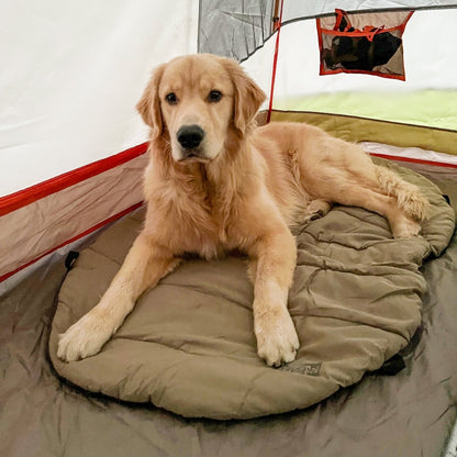 Bed ’n a Bag Travel Dog Bed | Portable Water-Resistant Camping Mat with Carry Bag & Stake-Out Loops