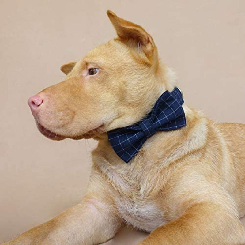 Classic Navy Check Bow Tie Dog Collar & Leash Set | Personalized Engraving – Handmade Cotton, XS–XL