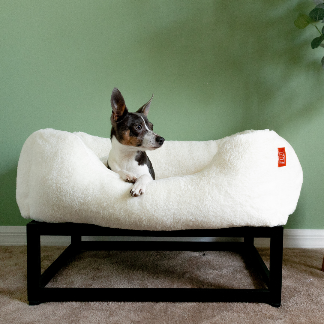 FÜZI Elevated Dog Bed – Luxury Bolster Top & Chew-Proof Metal Platform