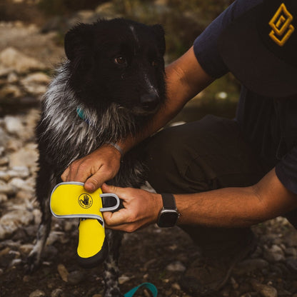 Body Glove Paw Protector Booties | Neoprene Dog Boots with Rubber Soles & Reflective Straps