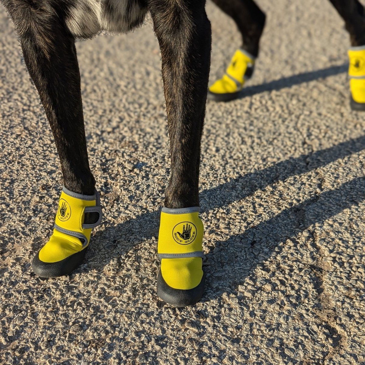 Body Glove Paw Protector Booties | Neoprene Dog Boots with Rubber Soles & Reflective Straps