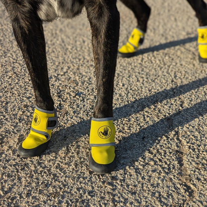 Body Glove Paw Protector Booties | Neoprene Dog Boots with Rubber Soles & Reflective Straps