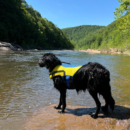 Body Glove Ripstop Pet Life Jacket | Durable Nylon Dog Life Vest with Chin Flap, Grab Handle & Reflective Accents