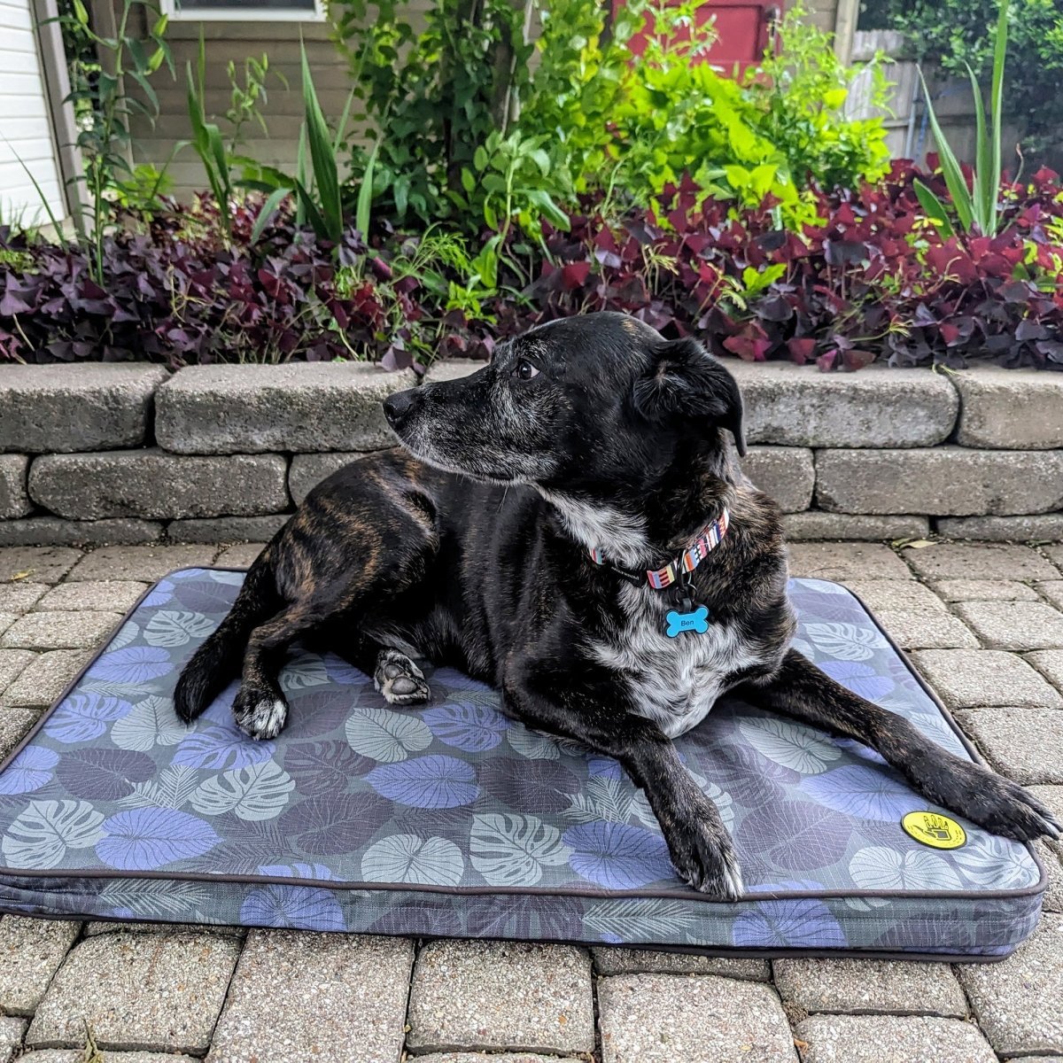 Body Glove Sun & Sand Tough Mat | UV-Safe Ripstop Washable Dog Bed with Cooling Air Foam