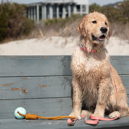 Body Glove Tough Tug Toy | Durable Floating Rope Tug Toy for Dogs (ETPU Ball)
