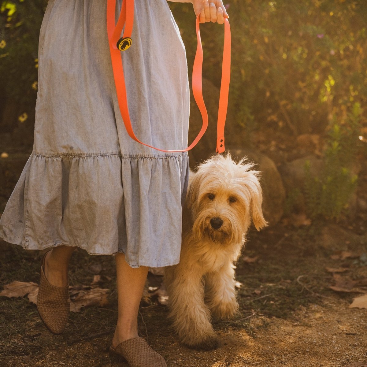 Body Glove Waterproof Dog Leash | Durable Biothane Leash with Powder-Coated Hardware (Made in USA)