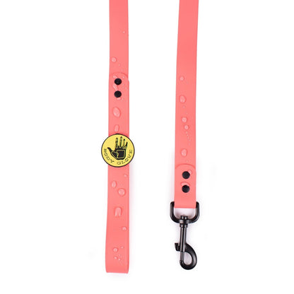 Body Glove Waterproof Dog Leash | Durable Biothane Leash with Powder-Coated Hardware (Made in USA)