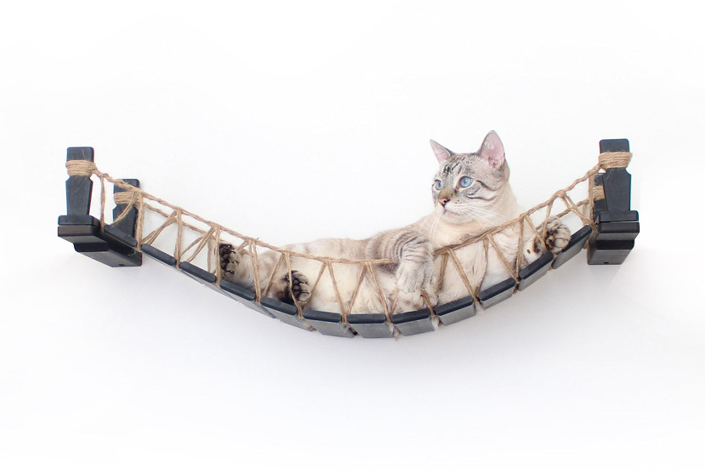 Cat Bridge for Wall