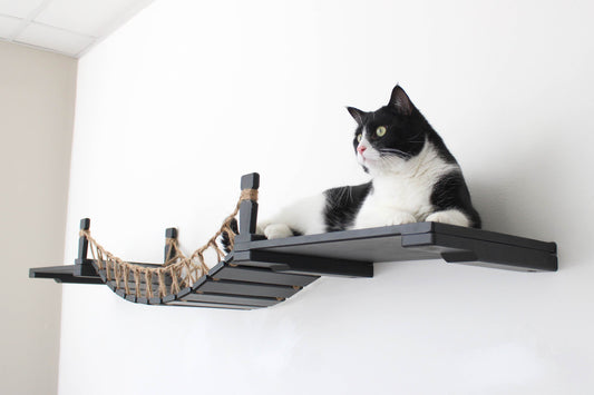 Cat Wall Bridge and Shelf Set