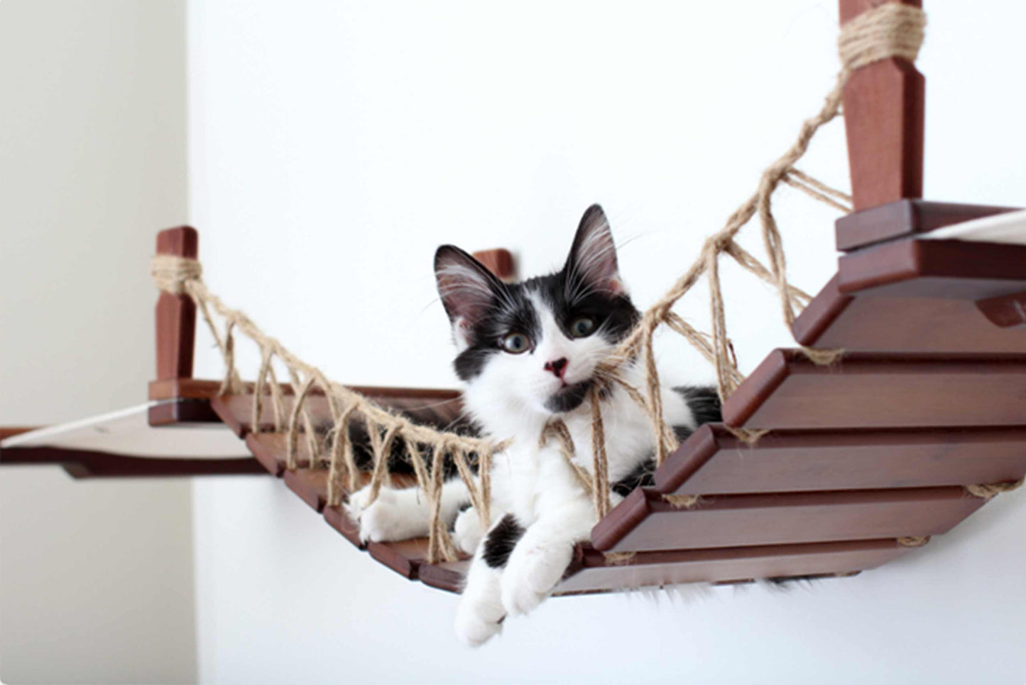 Double Cat Hammock and Climbing Bridge Combo