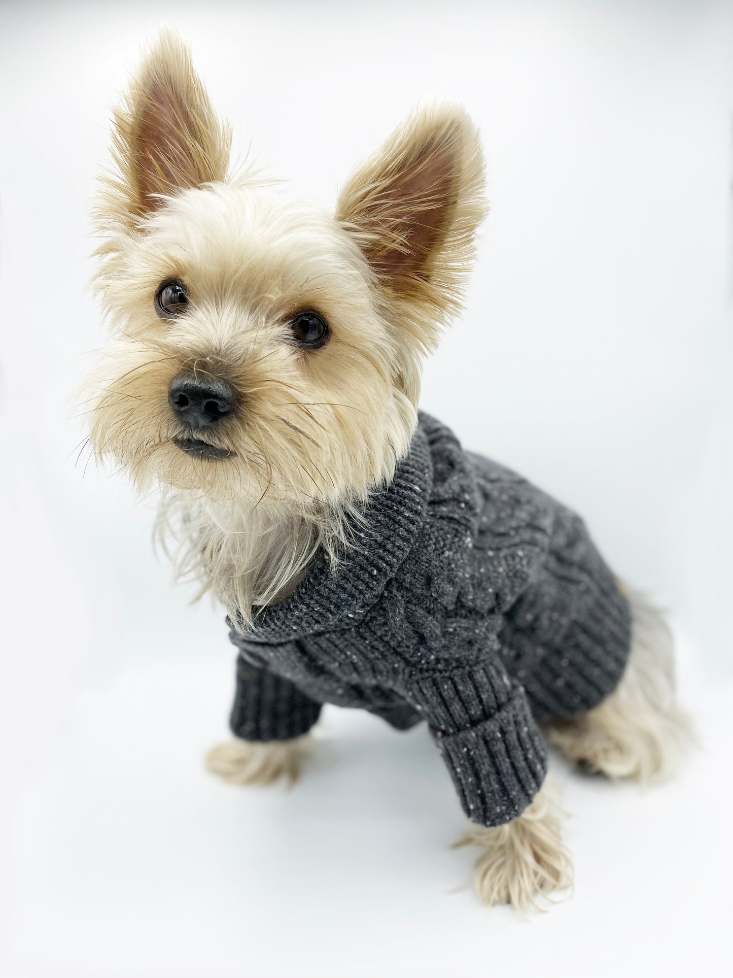 Brooklyn Cashmere Dog Cardigan – Charcoal Luxury 100% Cashmere Sweater (XS–XL)